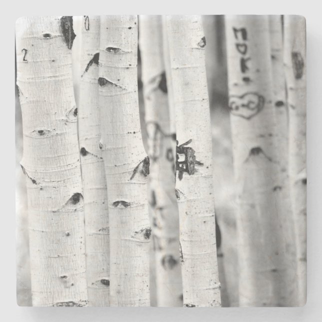 Dessous-de-verre En Pierre Haut Aspen (Devant)