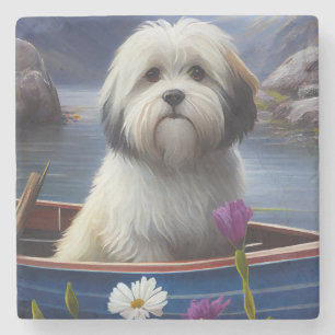 Dessous-de-verre En Pierre Havanais sur une pagaie : Une aventure panoramique
