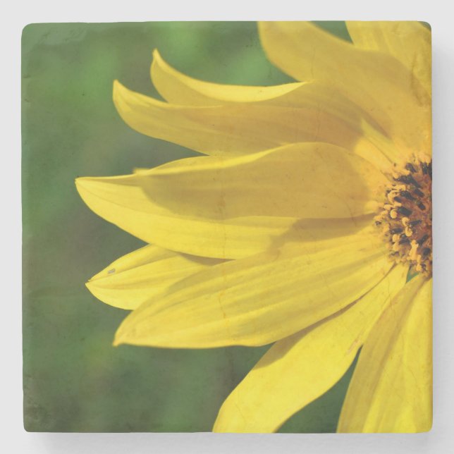 Dessous-de-verre En Pierre Hélénium de marguerite jaune (Devant)