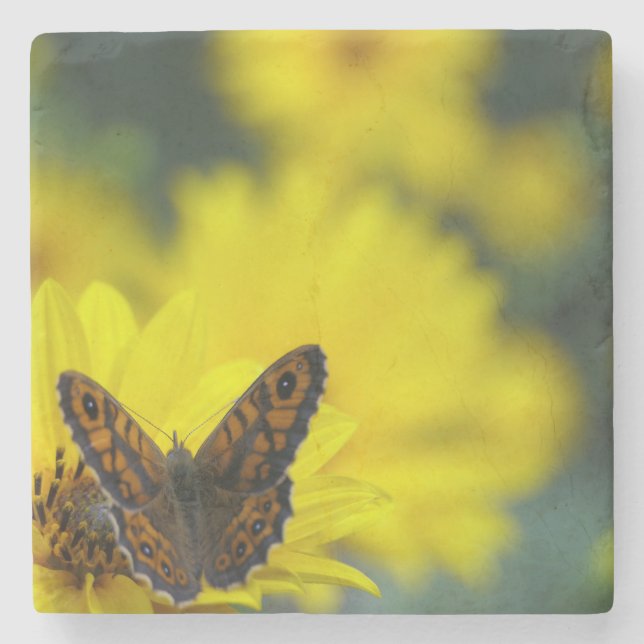 Dessous-de-verre En Pierre Hélénium de marguerite jaune (Devant)