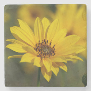 Dessous-de-verre En Pierre Hélénium de marguerite jaune