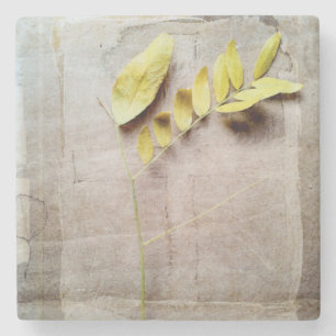 Dessous-de-verre En Pierre Herbarium V