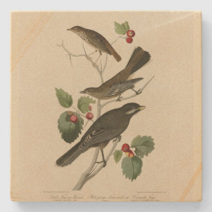 Dessous-de-verre En Pierre Hermite Thrush, Grey Jay Audubon's Birds of Americ