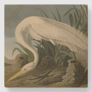 Dessous-de-verre En Pierre Héron blanc, Grandes aigrettes, Oiseaux d'Amérique