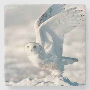 Dessous-de-verre En Pierre Hibou des neiges décollant de la neige