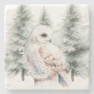 Dessous-de-verre En Pierre Hibou d'hiver enneigé dans les arbres à feuilles p