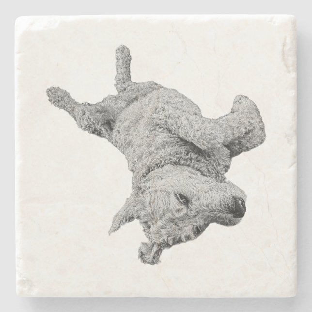 Dessous-de-verre En Pierre Humour au repos (Devant)