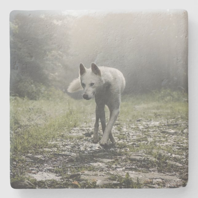Dessous-de-verre En Pierre Husky Sibérien Blanc (Devant)