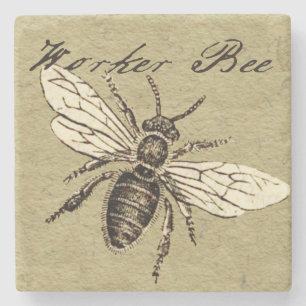 Dessous-de-verre En Pierre Illustration Antique d'Abeille Ouvrière Insecte Vi