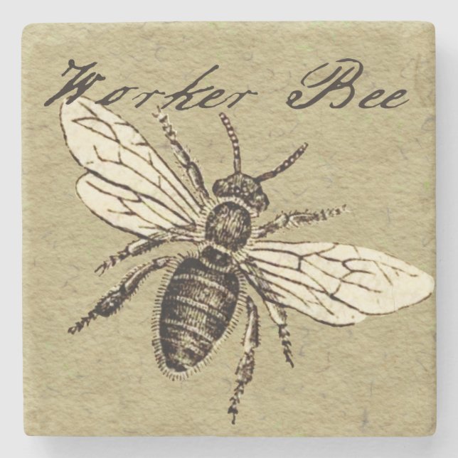 Dessous-de-verre En Pierre Illustration de l'insecte d'abeille vintage (Devant)