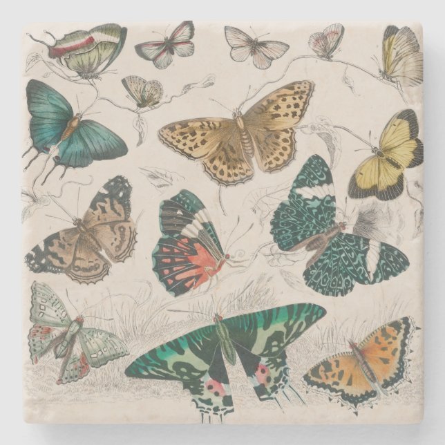 Dessous-de-verre En Pierre Illustration de papillon antique : 1820 Orfèvre (Devant)