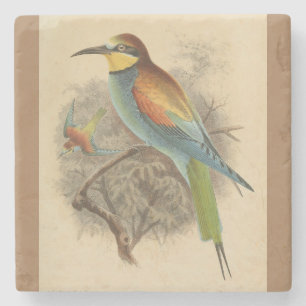 Dessous-de-verre En Pierre Illustration vintage de l'Abeille européenne