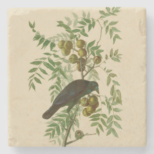 Dessous-de-verre En Pierre Impression d'oiseau Grackle violet d'Audubon Botan