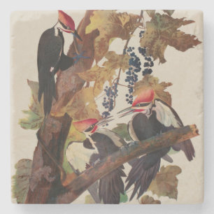 Dessous-de-verre En Pierre Impression d'oiseau Pic à tête rouge de John James