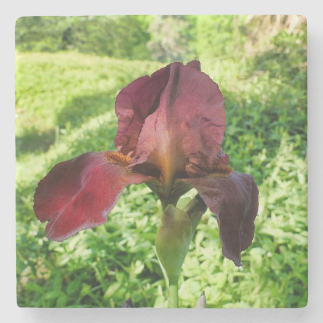 Dessous-de-verre En Pierre Iris à poils (Devant)