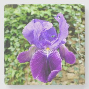 Dessous-de-verre En Pierre Iris à poils
