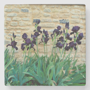 Dessous-de-verre En Pierre Iris à poils