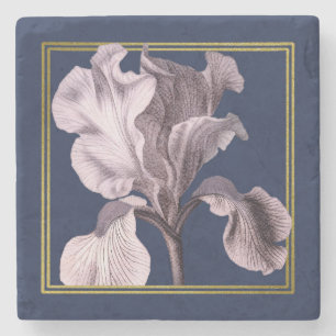 Dessous-de-verre En Pierre Iris rose doux sur Dessous de verre bleu