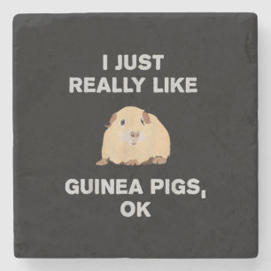 Dessous-de-verre En Pierre J'Aime Vraiment Les Cochons De Guinée Ok Drôle Coc