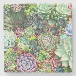 Dessous-de-verre En Pierre Jardin coloré Succulent