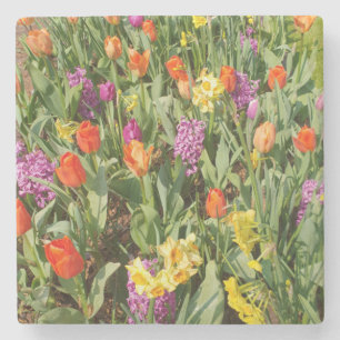 Dessous-de-verre En Pierre Jardin Fleur Vibrant