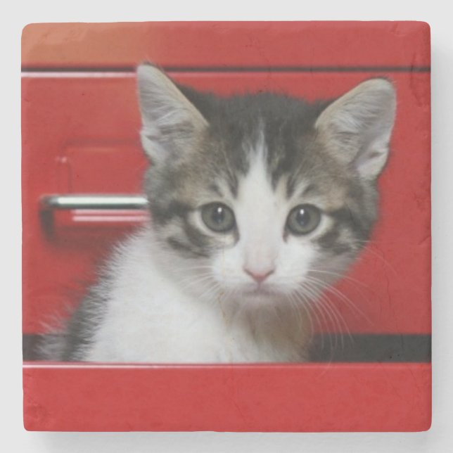 Dessous-de-verre En Pierre Jeter un coup d'oeil de chaton (Devant)