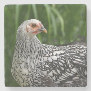 Dessous-de-verre En Pierre Jeune poulet