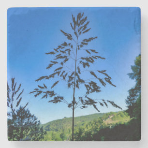 Dessous-de-verre En Pierre Johnson Grass