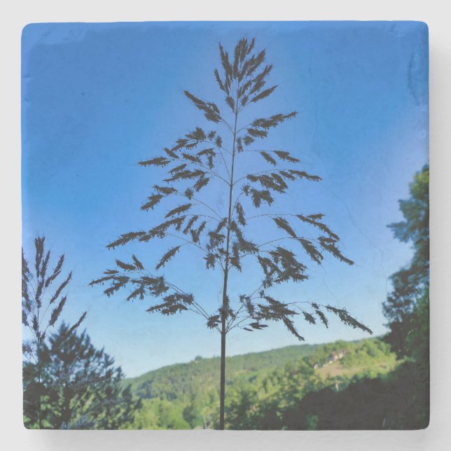 Dessous-de-verre En Pierre Johnson Grass (Devant)