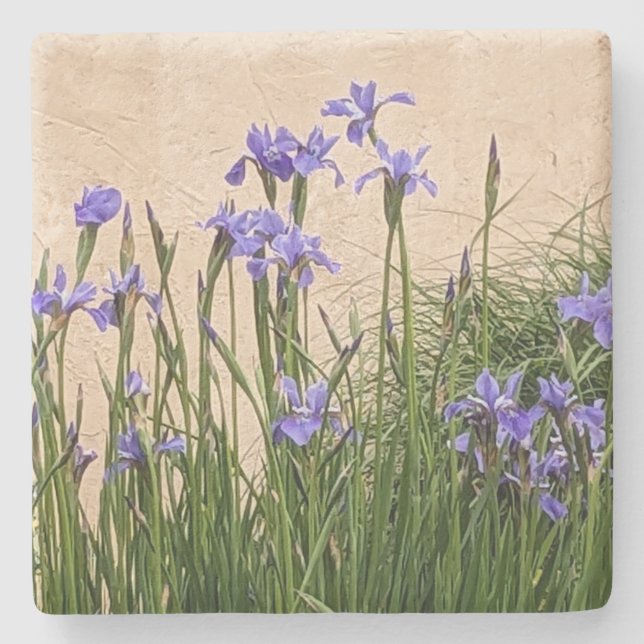 Dessous-de-verre En Pierre Joli Blue Irises Floral (Devant)