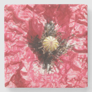 Dessous-de-verre En Pierre Joli Dessous de verre de Pierre de Macro à Fleur R