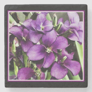 Dessous-de-verre En Pierre Jolie fleur pourpre