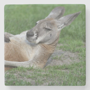 Dessous-de-verre En Pierre Kangaroo à dos