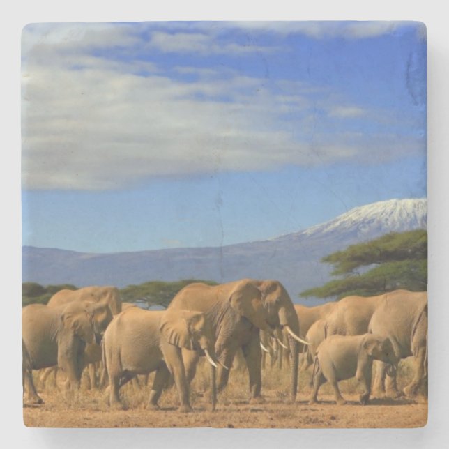 Dessous-de-verre En Pierre Kilimanjaro et éléphants (Devant)