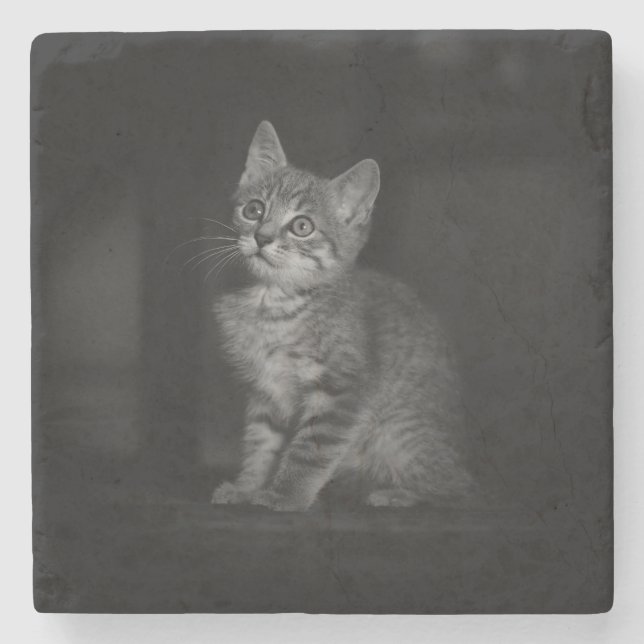 Dessous-de-verre En Pierre Kitten précieux (Devant)
