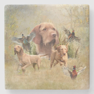 Dessous-de-verre En Pierre La À poils durs hongroise Vizsla