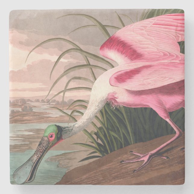 Dessous-de-verre En Pierre La faune des oiseaux d'Audubon de Spoonbill Roseat (Devant)