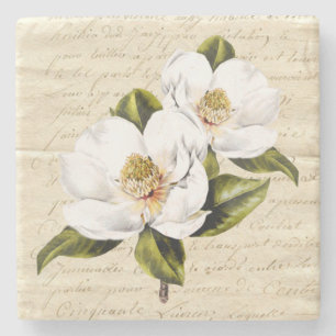Dessous-de-verre En Pierre La magnolia vintage fleurit les dessous de verre