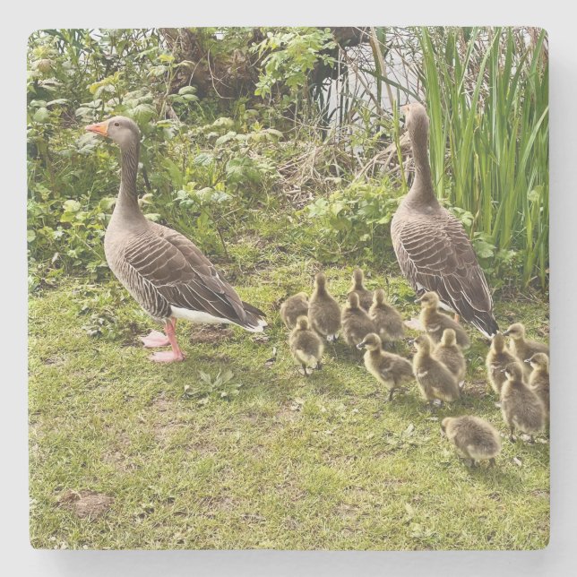 Dessous-de-verre En Pierre La vie de canard. (Devant)