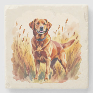 Dessous-de-verre En Pierre Labrador Retriever Chien Rouge Renard