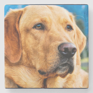 Dessous-de-verre En Pierre Labrador retriever d'or
