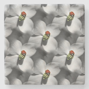 Dessous-de-verre En Pierre Ladybug Sur Dogwood Flower Nature Motif