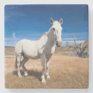Dessous-de-verre En Pierre Laguna Azul, paysage avec chevaux