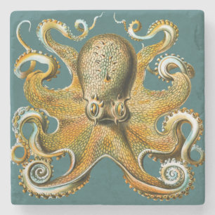 Dessous-de-verre En Pierre Le poulpe d'Ernst Haeckel