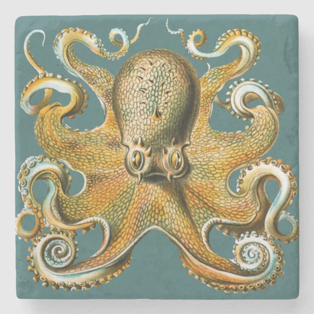 Dessous-de-verre En Pierre Le poulpe d'Ernst Haeckel (Devant)