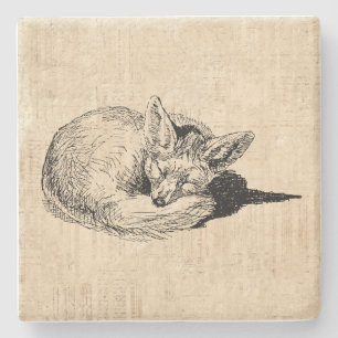 Dessous-de-verre En Pierre Le renard dormant illustre un joli animal Vintage