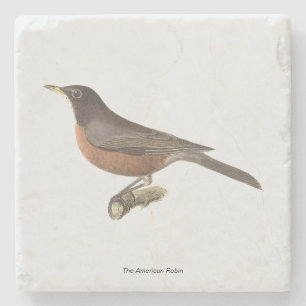 Dessous-de-verre En Pierre Le Robin américain (Turdus migratorius) NY Birds