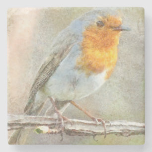 Dessous-de-verre En Pierre Le Robin Est Une Aquarelle Gabriel