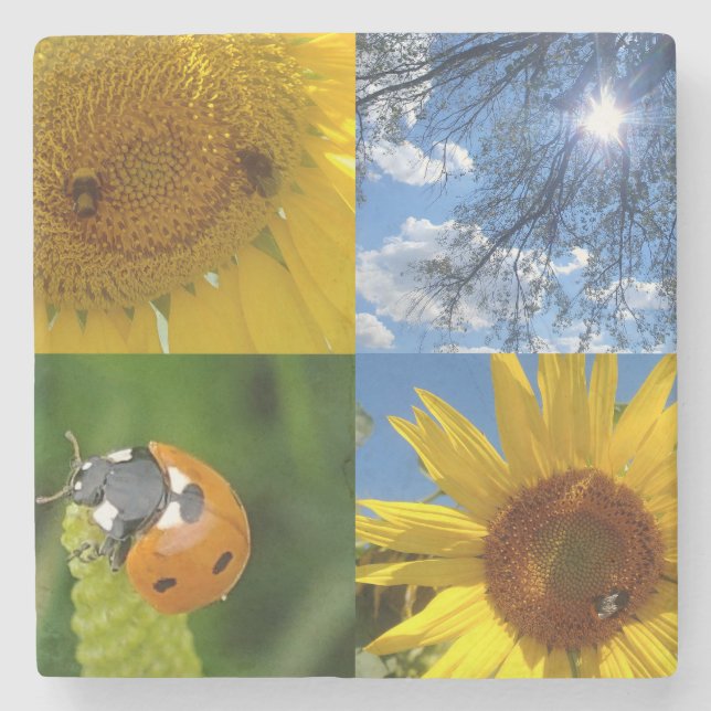 Dessous-de-verre En Pierre Le tournesol souriant (Devant)