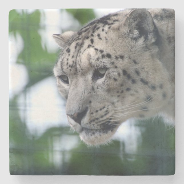 Dessous-de-verre En Pierre Leopard 003 (Devant)